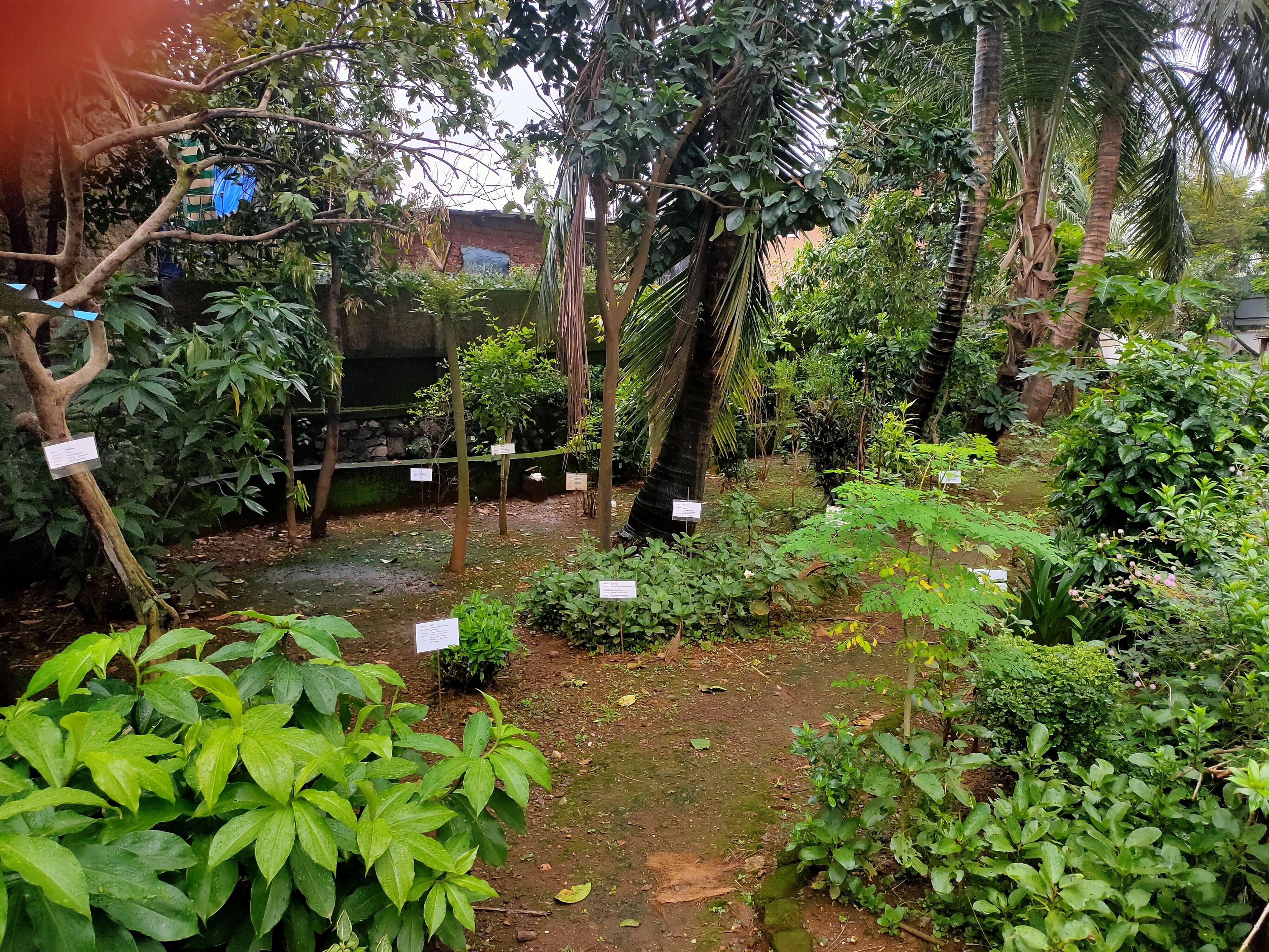 VES College of Pharmacy (Autonomous) Mumbai Infrastructure photo 10